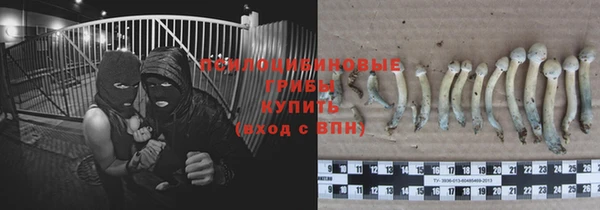 метадон Алексин