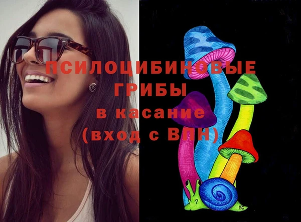 а пвп мука Алзамай