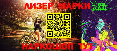 стаф Гатчина