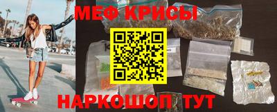 стаф Гатчина