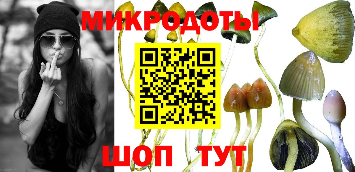 Галлюциногенные грибы MAGIC MUSHROOMS  дарнет шоп  Южно-Сахалинск  Вход с VPN 